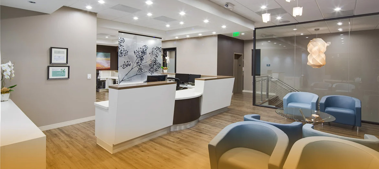Dentist in Willow Glen